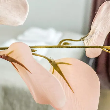 E 200m Do Plazy Appartement Sopot