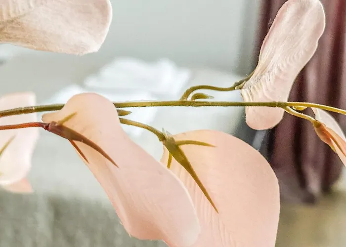 E 200m Do Plazy Apartment Sopot